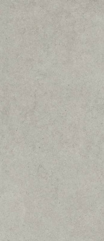 Форум Стоун Сильвер 120x278