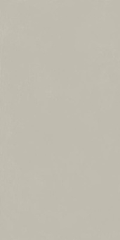 Форум Слим Сильвер 60x120