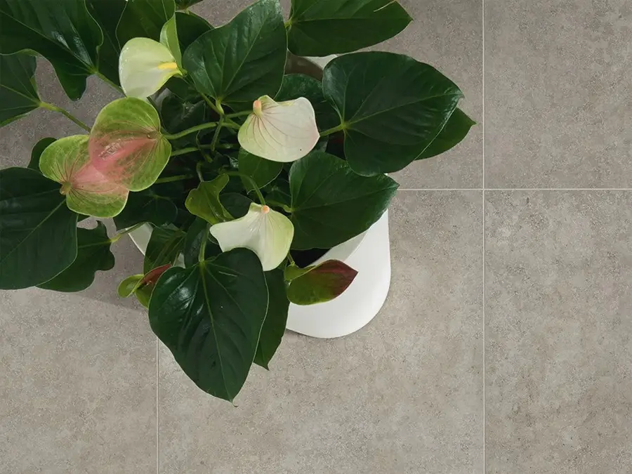 Интерьер Nova/Нова Italon - 3